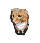 にゃにゃにゃにゃにゃにゃ（個別スタンプ：4）