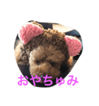 nanakai（個別スタンプ：6）