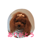 nanakai（個別スタンプ：8）