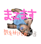 葵美たんぷ（個別スタンプ：11）