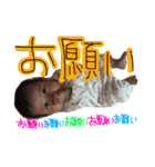 葵美たんぷ（個別スタンプ：21）