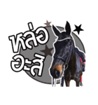 My Pet Story（個別スタンプ：6）
