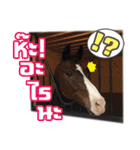 My Pet Story（個別スタンプ：7）