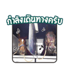 My Pet Story（個別スタンプ：8）