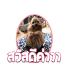 My Pet Story（個別スタンプ：14）