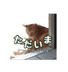 ましゃの海スタンプ2（個別スタンプ：7）