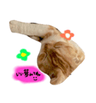 every day with LUNA 1（個別スタンプ：2）