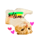 every day with LUNA 1（個別スタンプ：6）