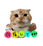every day with LUNA 1（個別スタンプ：7）
