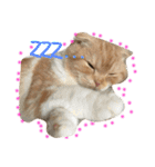 every day with LUNA 1（個別スタンプ：13）