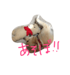 まろんさま（個別スタンプ：7）