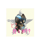 うちのチワワのパティさん（個別スタンプ：8）