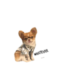 Jaspercurrentmood（個別スタンプ：1）