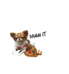 Jaspercurrentmood（個別スタンプ：2）