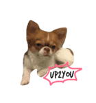 Jaspercurrentmood（個別スタンプ：3）