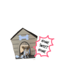 Jaspercurrentmood（個別スタンプ：5）