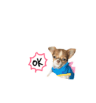 Jaspercurrentmood（個別スタンプ：6）