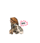 Jaspercurrentmood（個別スタンプ：8）