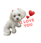 LOVE Merry Momo（個別スタンプ：4）