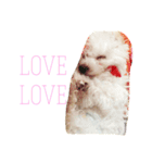 LOVE Merry Momo（個別スタンプ：6）