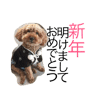 ran＆mi（個別スタンプ：1）