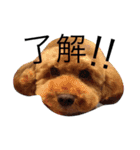 ran＆mi（個別スタンプ：3）