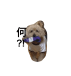 wanwanPoodleciwapoo（個別スタンプ：7）