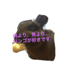 あいらぶうさぎ（個別スタンプ：6）