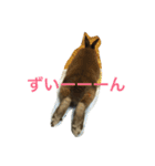 あいらぶうさぎ（個別スタンプ：8）