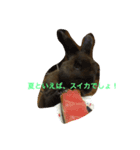 あいらぶうさぎ（個別スタンプ：9）