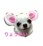 riritanyume（個別スタンプ：1）