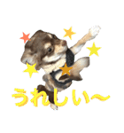 チョコタンチワワの日常会話（個別スタンプ：23）