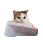 まーやたんワールド（個別スタンプ：2）