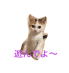 まーやたんワールド（個別スタンプ：5）