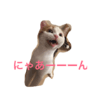 まーやたんワールド（個別スタンプ：7）
