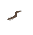 In Summer, Eel (silent version)（個別スタンプ：6）