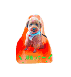 Toypoodl noel（個別スタンプ：11）