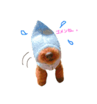Toypoodl noel（個別スタンプ：22）