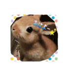 mimiちゃん's（個別スタンプ：1）