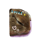 mimiちゃん's（個別スタンプ：2）