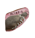 mimiちゃん's（個別スタンプ：14）