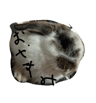 ベルン（個別スタンプ：3）