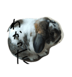 ベルン（個別スタンプ：8）