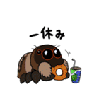 ハエトリファミリー（個別スタンプ：3）