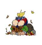 ハエトリファミリー（個別スタンプ：40）