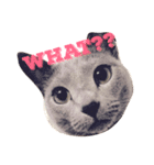 Nya！！（個別スタンプ：2）