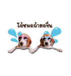 Mooping-Moopun（個別スタンプ：1）