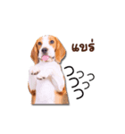 Mooping-Moopun（個別スタンプ：6）
