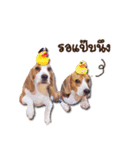 Mooping-Moopun（個別スタンプ：9）