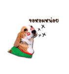 Mooping-Moopun（個別スタンプ：10）